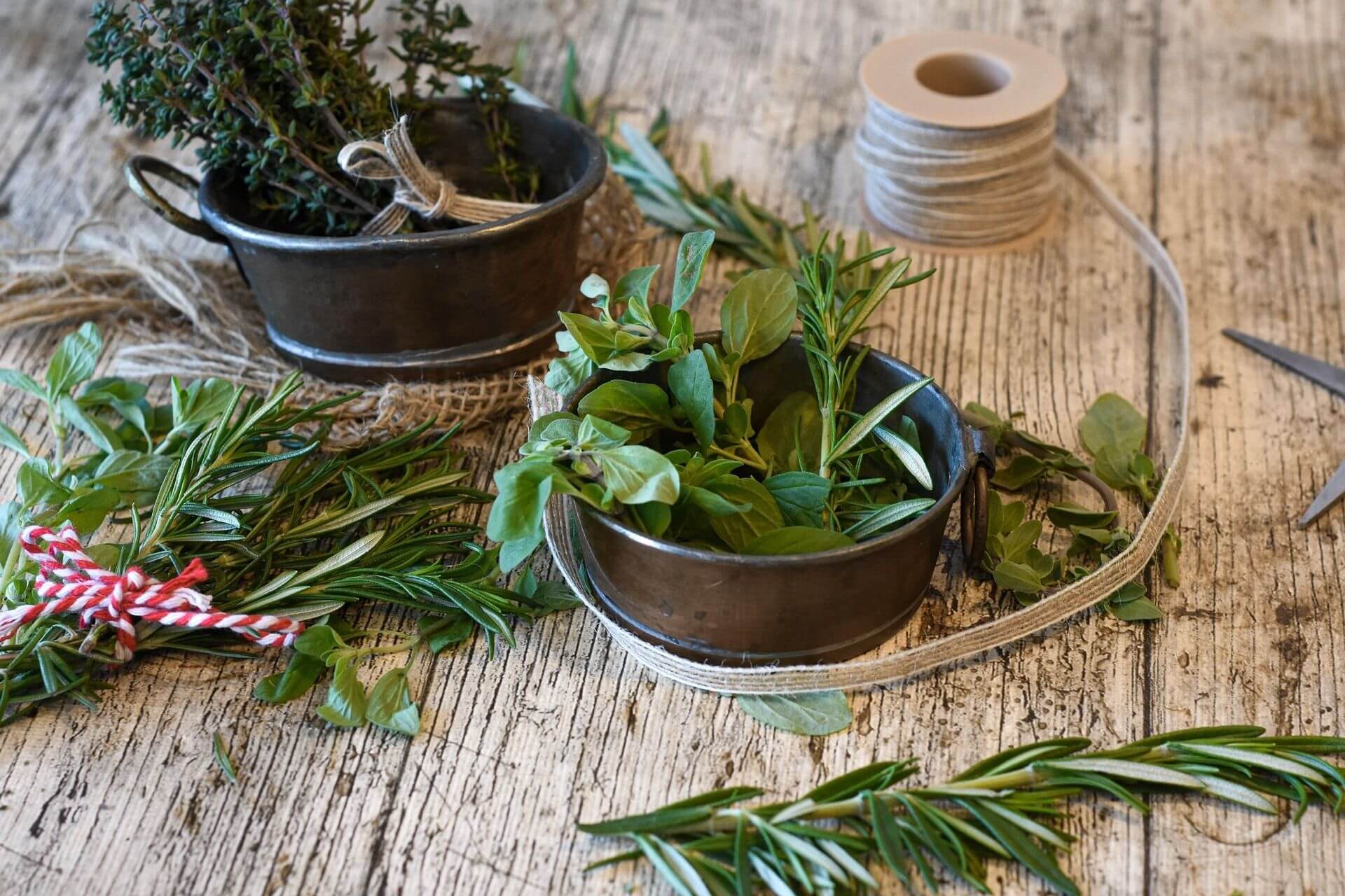 Herb walk – activity on a hut holiday