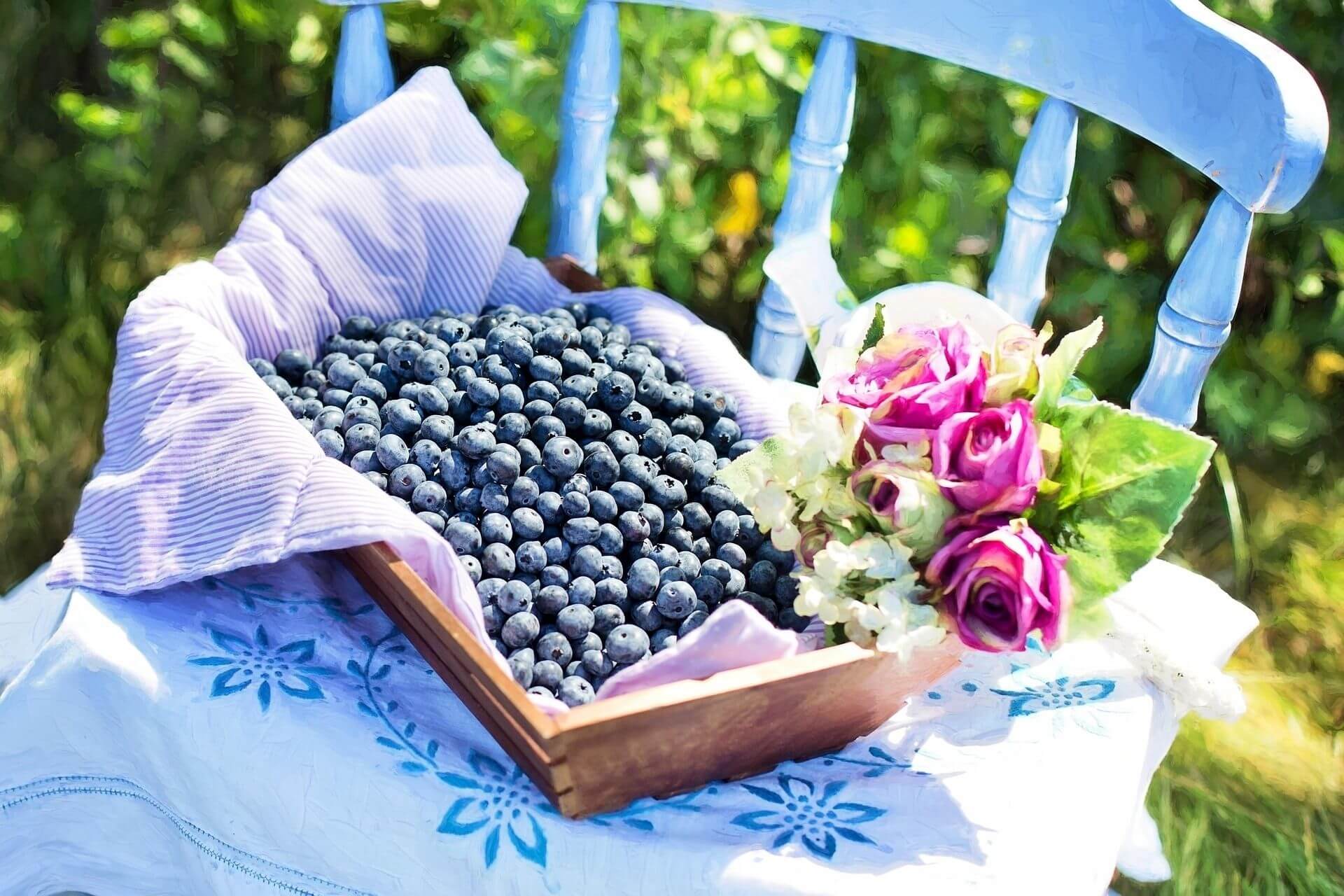 Heidelbeeren