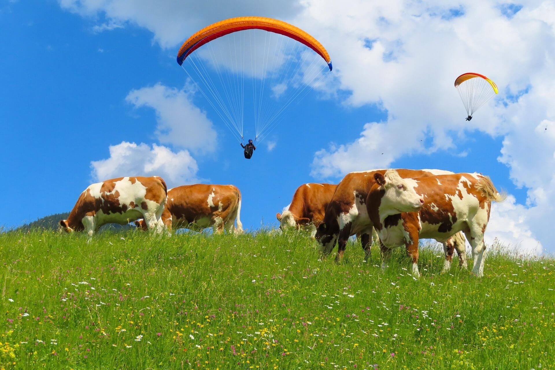 Paragliding above the mountains – activity on a hut holiday