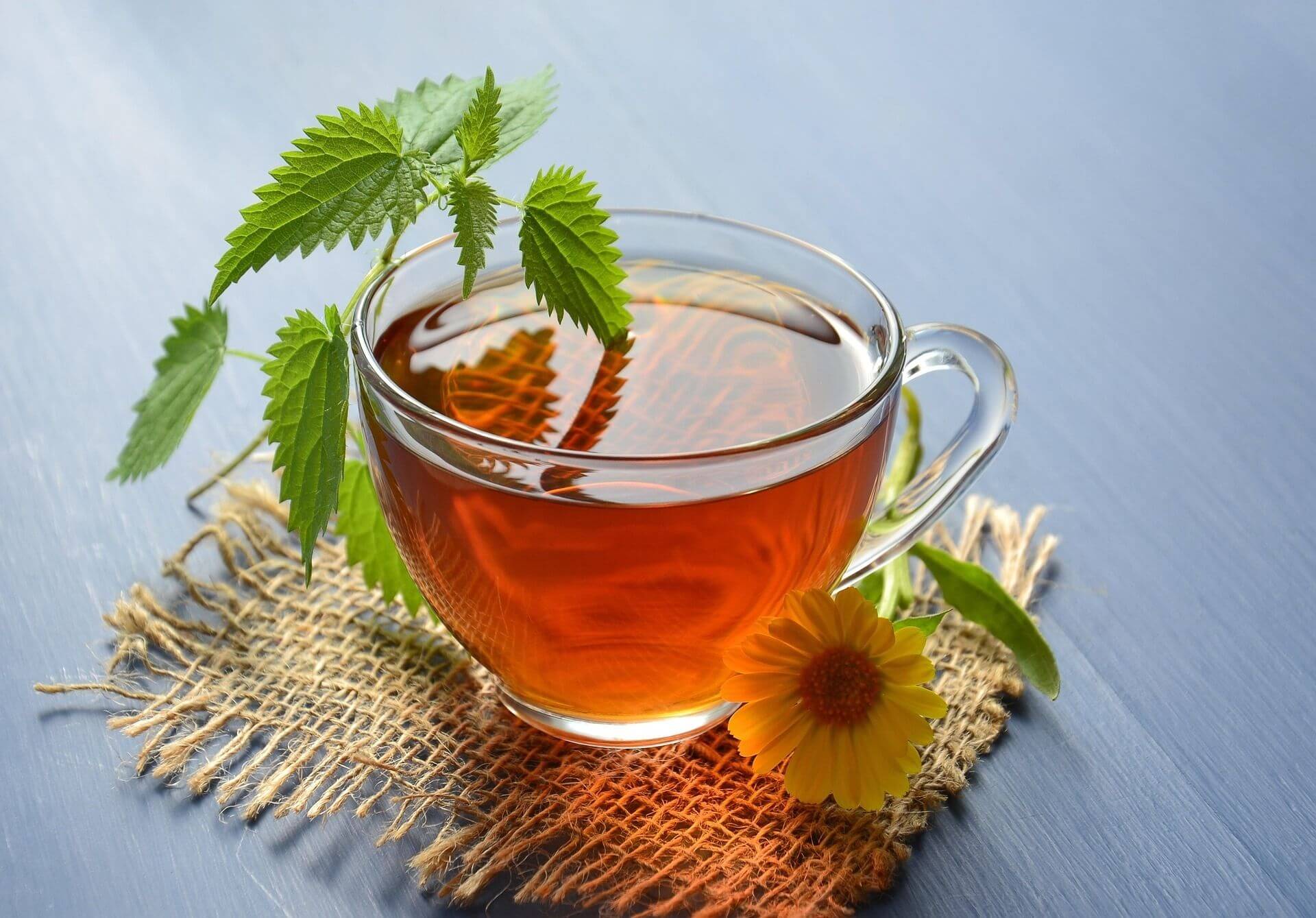 Brewing herbal tea – activity on a hut holiday