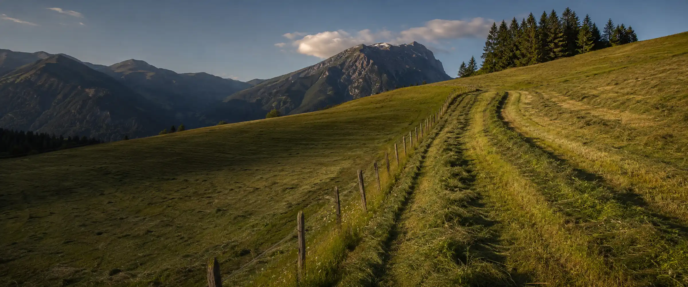 Bewirtschaftete Bergwiese am Hang